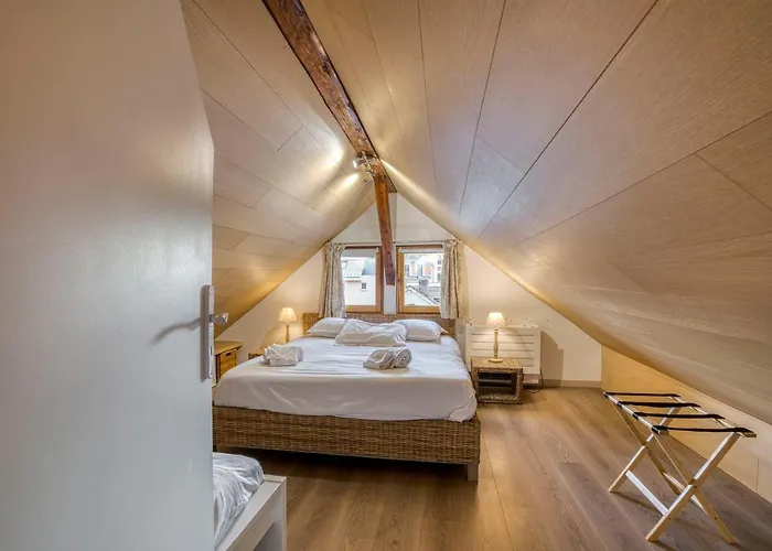 Le Carnot - Mycosyapart, Duplex Coeur De Ville Et Lac, Climatise